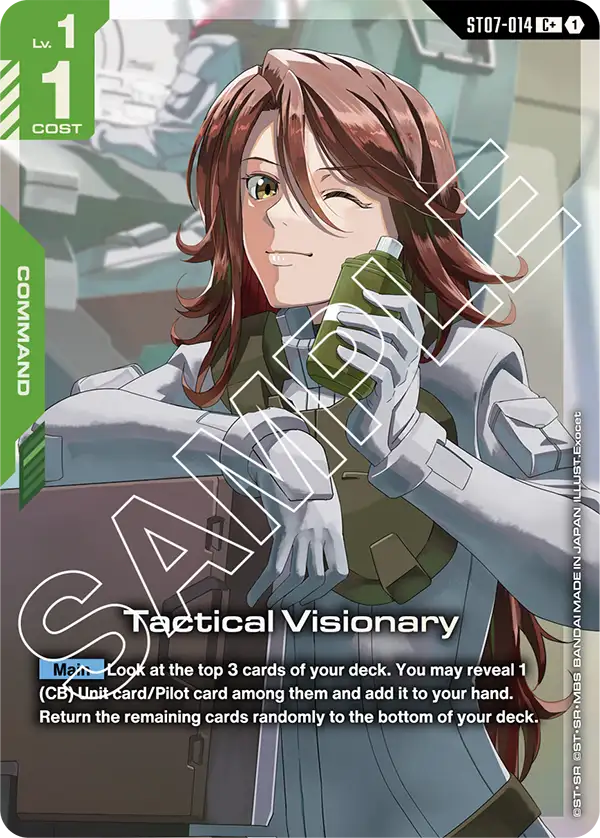 Tactical Visionary
