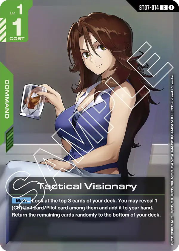 Tactical Visionary